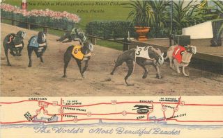 1959 Washington County Kennel Club Greyhound Racing Florida Tichnor 3298