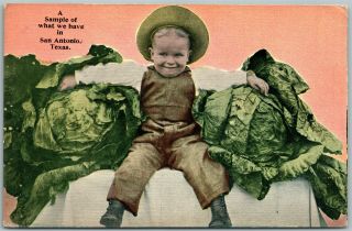 San Antonio Tx Exaggerated Boy W/ Cabbage Antique Postcard