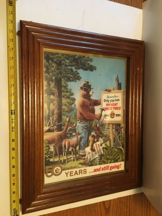 Vintage Smokey The Bear Usfs Forest Fire Prevention Poster Large Framed
