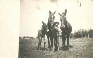 C - 1910 Young Man Horses Foal Rppc Real Photo Postcard 9811