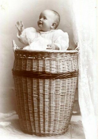Rare Antique Cabinet Photo Of Baby In Basket Id 
