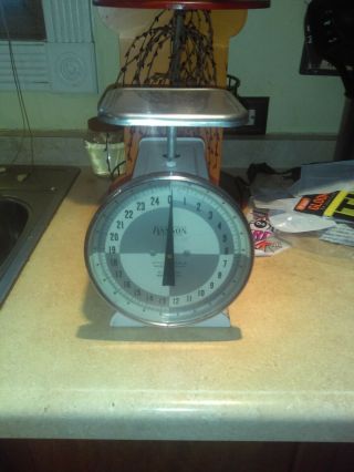 Vintage Hanson Utility Scale 25 Pounds Made In Chicago Model 1371