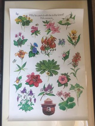 Smokey Bear Vintage Educational Dept Of Agriculture Poster - Wildflowers