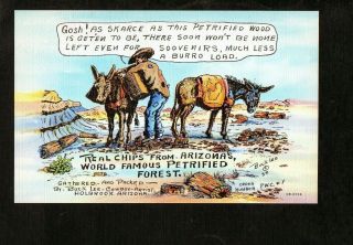 F379 Postcard Curt Teich Linen Cowboy Artist Buck Lee Packing Out Petrified Wood