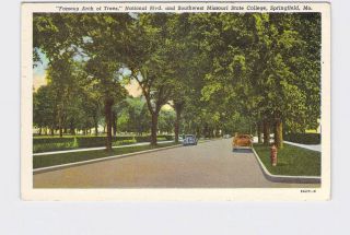 Antique Postcard Missouri Springfield National Blvd Famous Arch Of Trees Southwe