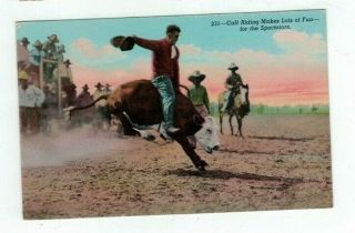 Antique Linen Cowboy Western Post Card Cowboy Riding A Calf
