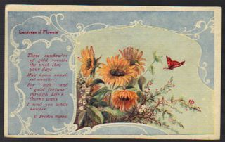 Vintage Floral Postcard Language Of Flowers - Sunflowers & White Heather 1909