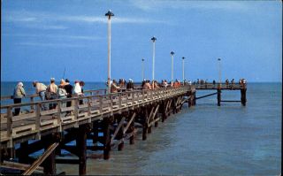 Padre Island Fishing Pier Corpus Christi Texas Tx 1960s Postcard