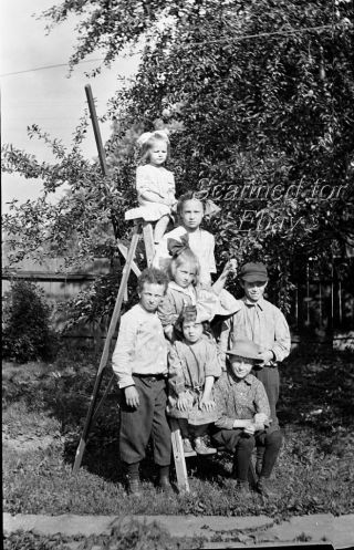 1910s Cute Children Boys And Girls On Ladder Photo Negative