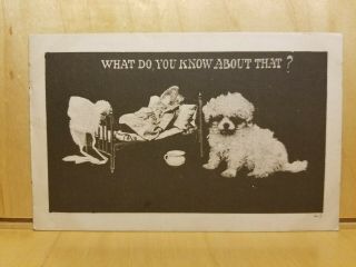 E7 Postcard 1910 What Do You Know About That? Sick Doll Bed Baby Puppy Dog Nanny