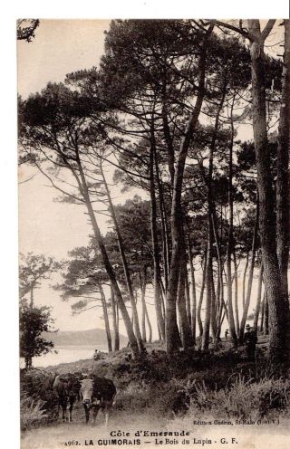 Over 100 Year Old Vintage Postcard Of La Guimorais Brittany France