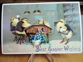 1909 Postcard Easter Wishes Humanized Chicks Keeping The Books Fantasy