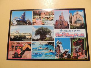 Walt Disney World Orlando Florida Vintage Postcard Multiple Park Scenes