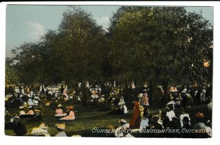 Concert Day At Lincoln Park Chicago Illinois Postcard 1907 Era 100 