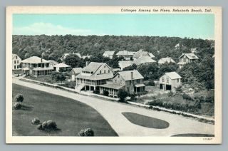 Cottages Among The Pines Rehoboth Beach Delaware—rare Vintage Postcard 1940s