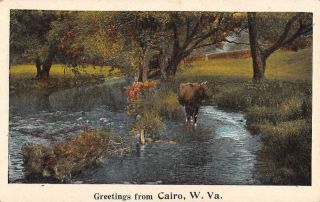 Cairo West Virginia Cow River Scene Greeting Antique Postcard K77961