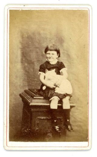 Child With Cat On Cdv By C H Sambrook Of Wedge Mills Cannock