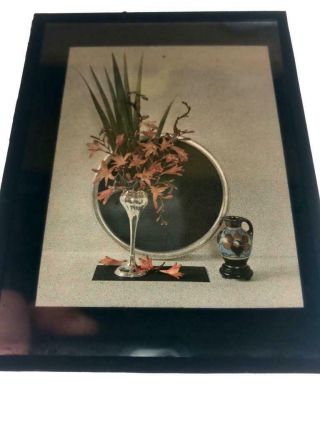 Early 1910s - 1920s Autochrome Colour Lantern Slide Flowers Still Life
