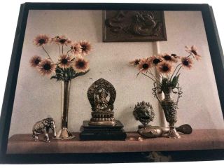Early 1910s - 1920s Autochrome Colour Lantern Slide Still Life Flowers And Silver
