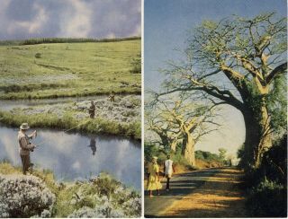 2 Postcards Tour Rhodesia & Nyasaland Africa