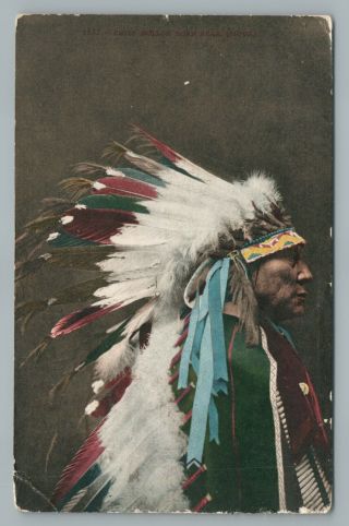 Chief Hollow Horn Bear In Profile—sioux Indian Antique Postcard Native 1910s