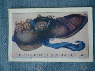 Vintage Postcard No Place Like Home Mice In Shoe