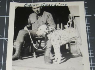 Dalmatian Breed Dog WWI CAMP Grayling Michigan MI Mascot Soldier Man Vtg PHOTO 2