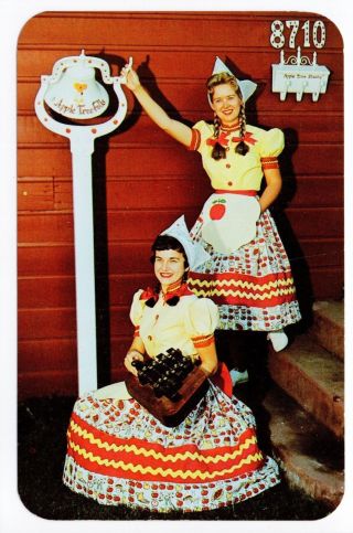 Vintage Denver,  Co Postcard - " Smiling Apple Tree Girls " - Unposted