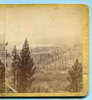 1870s Collier’s Colorado Stereoview Long’s Peak From Meadows