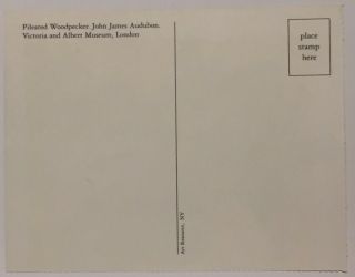 Postcard - Pileated Woodpecker,  John James Audubon,  Victoria and Albert Museum 2
