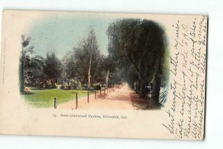 Riverside California Ca Postcard 1904 Near Glenwood Tavern