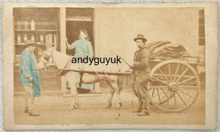 Cdv Aylsham Norfolk Shop Horse Cart Medler Antique Victorian Photo Juba Norwich