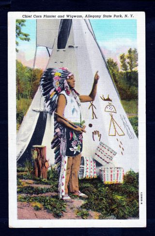 Native American Chief Corn Planter At Allegany Park,  Ny.  1930s Postcard.  671