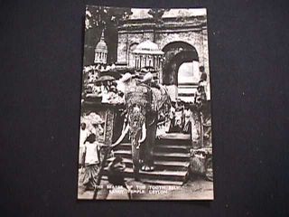 Elephant Bearer Of The Tooth Relic Kandy Temple Ceylon Real Photo Postcard