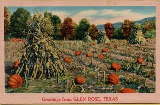 1963 Pumpkin Field Greetings From Glen Rose Texas Tx Postcard B43