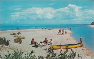 Nw Honor Empire Mi 1960s Platte Rivermouth Beach Babes Family Fun Just
