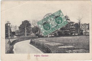 Vintage Shanghai Chinese Postcard Public Garden C1920s
