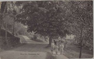 C1910 Main Street Shawnee Pennsylvania Pa Postcard View - Kids On Sidewalk