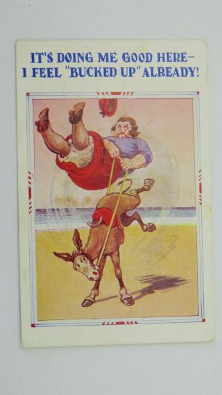 1950s Vintage Comic Postcard Seaside Donkey Ride Fat Lady Knickers Bloomers