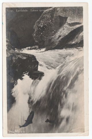 Postcard Laerdalselv Laksen Springer.  Jumping Salmon,  Norway.  Posted 1937