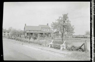 1937 Bloomingdale @ Sharrett Rd Staten Island Nyc Old Sperr Photo Negative U41