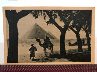 Egypt Old Postcard Cairo The Pyramids Of Gizeh Giza,  Native Camel Rider Unposte