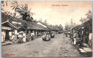 Colombo,  Ceylon Sri Lanka Postcard Village Street Scene C1910s