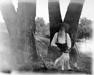 Glass Negative - Hunter With Rifle And Dog - Early 1900 