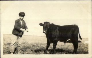 Boy W/ Calf Steer On Rope Cute C1910 Real Photo Postcard Dcn