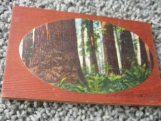 Boulder Dam,  Atlantic City,  California Redwoods And Other Post Cards/booklets