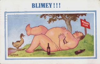 Vintage Donald Mcgill Comic Postcard Nudist Club Nude Fat Man Blimey Beer Duck