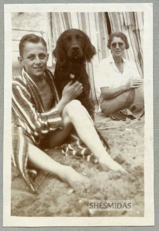 434 A Boy And His Dog,  Vintage Photo