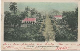 C1905 Pc: Guinea,  Banana Plantation At Conakry.  French Guinea Stamps