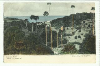 Australia Postcard - Stanwell Park,  Illawarra,  Nsw,  Australia - 1907